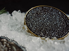 Welcher Kaviar ist der teuerste?