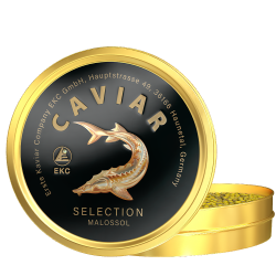 Stör-Kaviar «SELECTION» 500g, Bild 3