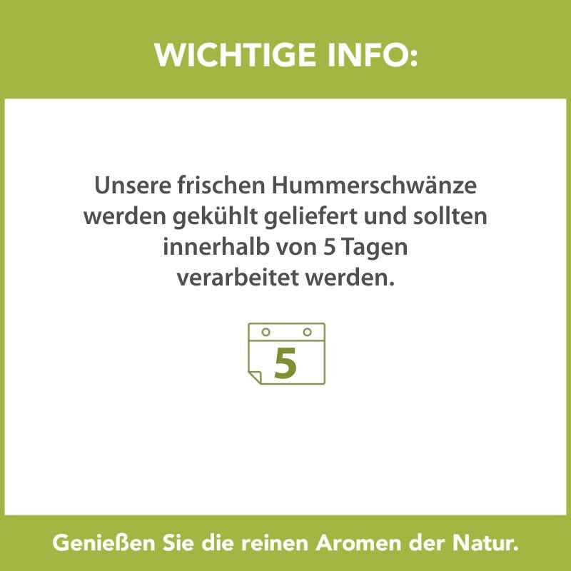 Hummerschwänze Set 3x2 Stk.
