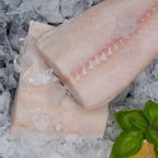 Black Cod Filet – zwei Filetstücke auf Eis mit Basilikum