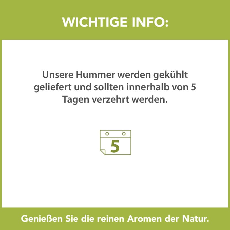Hummer gekocht Set 3 Stk.