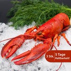 Hummer gekocht Set 3 Stk.