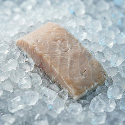 Störfilet mit Haut, frisch