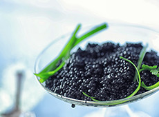 Bestellen Sie schwarzen Kaviar in Deutschland  (DE)