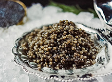 Beluga Kaviar in der Dose IKRiNKA