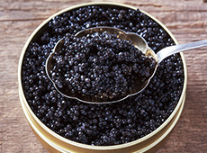 Wie wird Kaviar richtig gelagert?