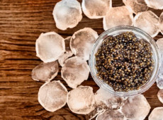 Wie wird Kaviar gelagert?