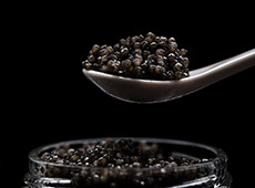 Was den PLATINUM LINE Stör Kaviar besonders macht
