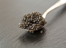 Wie schmeckt Beluga Kaviar?