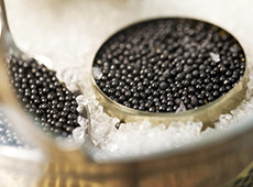 Present box sturgeon caviar «PLATINUM LINE» and a caviar spoon IKRiNKA