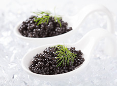 Beluga caviar in tin can IKRiNKA