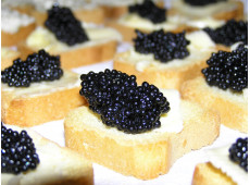 Buy sturgeon caviar in Germany (DE)