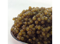 Where is the Osetra caviar produced?