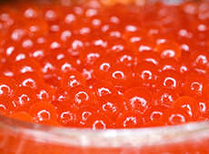 Facts about true caviar – know your food!