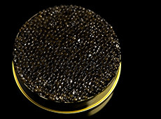 gift set black caviar SELECTION IKRiNKA Germany