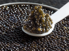 real caviar a product with controlled quality