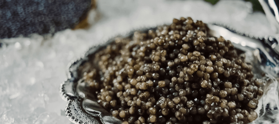 Kaviar im Sommer genießen