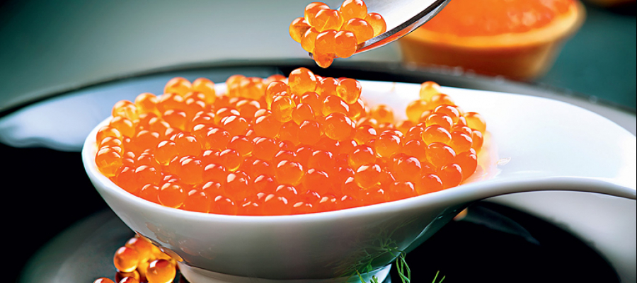 Nur das Wahre – die Unterscheidung vom roten und schwarzen Kaviar, was man wissen sollte um die richtige Wahl zu treffen