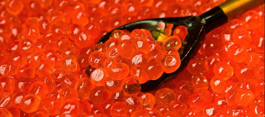 Red caviar production stages